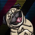 /album/fotos1/foto-de-perfil-jpg2/